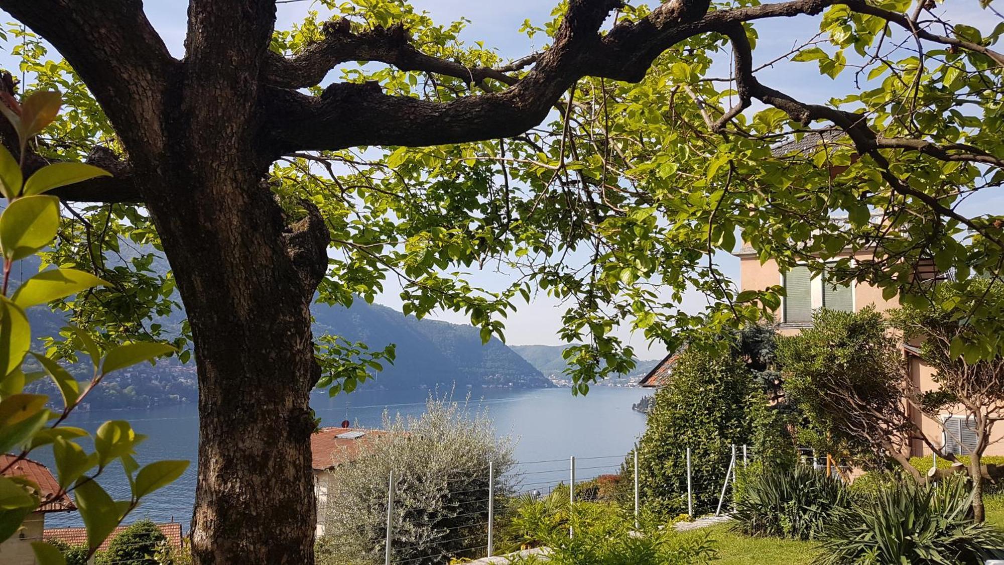 Flora Apartman Moltrasio Kültér fotó